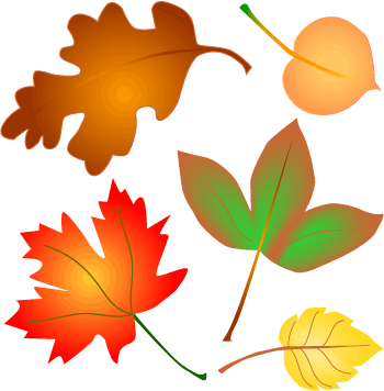 fall leaves 