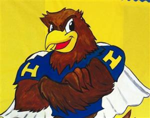 hawk hawk