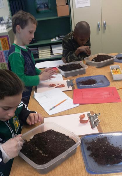 LPS archeology 