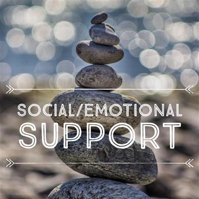 social/emotional support 